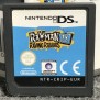 RAYMAN RAVING RABBIDS TV PARTY NINTENDO DS