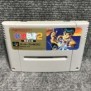 YUU YUU HAKUSHO 2 KAKUTOU NO SHOU JAP SUPER FAMICOM NINTENDO SNES