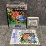 CHUCK ROCK SEGA GAME GEAR