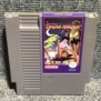 LITTLE NEMO DREAM MASTER NINTENDO NES