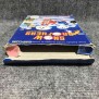 SNOW BROTHERS NINTENDO NES