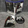 BEAT DOWN FIST OF VENGEANCE SONY PLAYSTATION 2 PS2