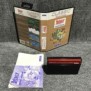 ASTERIX AND THE SECRET MISSION SEGA MASTER SYSTEM