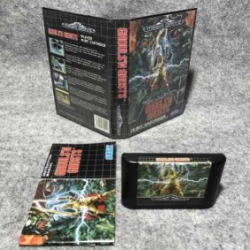 GHOULS N GHOSTS SEGA MEGA...